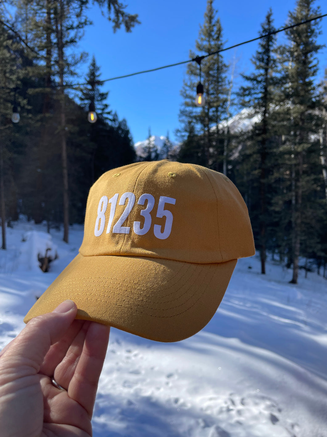 Hat, 81235, Lake City Colorado Zip Code