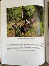 Load image into Gallery viewer, Book, Ain’t Moose Behavin’, Lake City, CO